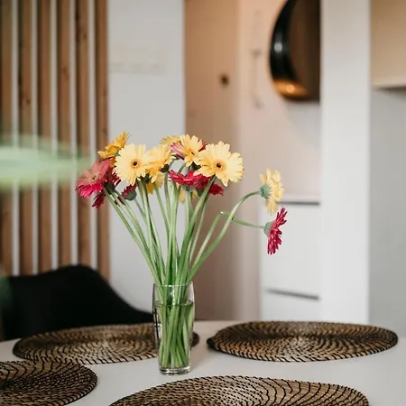 Nocosfera Gornoslaski Appartement Kalisz