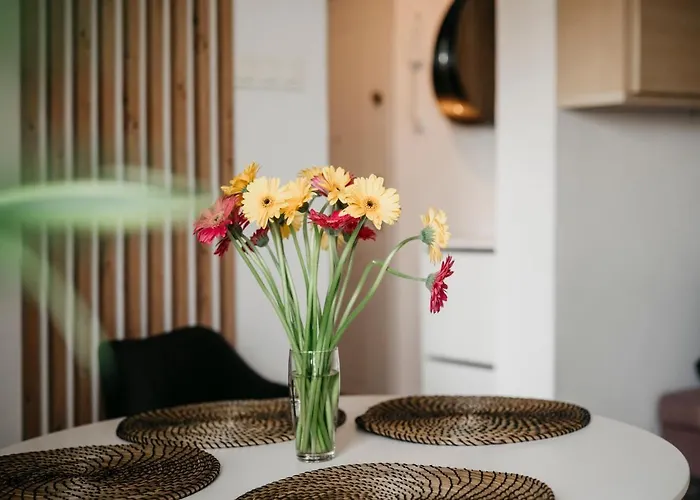 Nocosfera Gornoslaski Apartment Kalisz (Greater Poland)